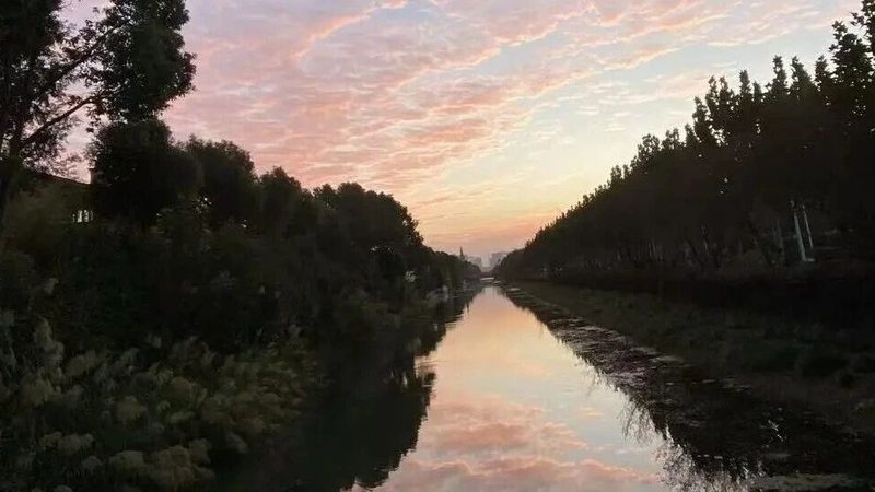 深圳电子申请专利费用减免，操作指南详解